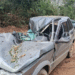 Idoso fica ferido após carro ser atingido por eucalipto na Estrada do Campestrinho, em Poços