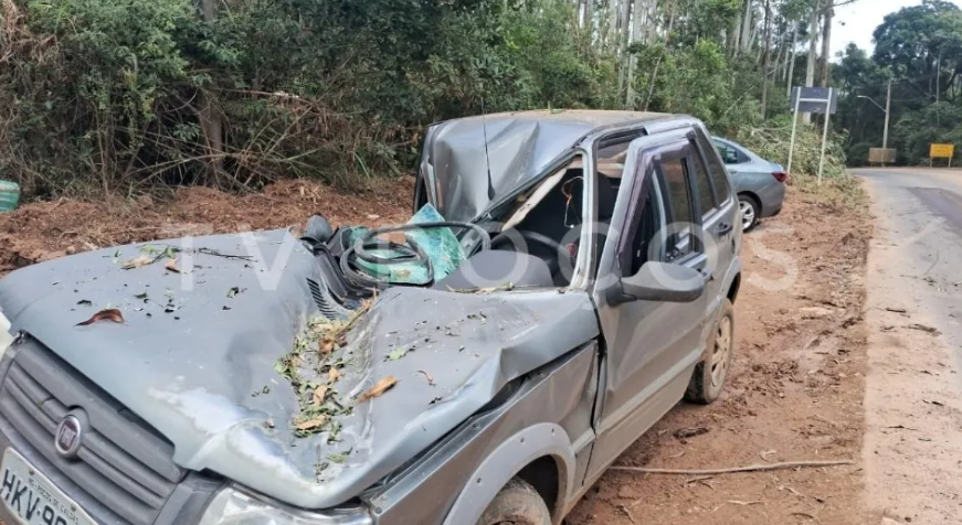 Idoso fica ferido após carro ser atingido por eucalipto na Estrada do Campestrinho, em Poços