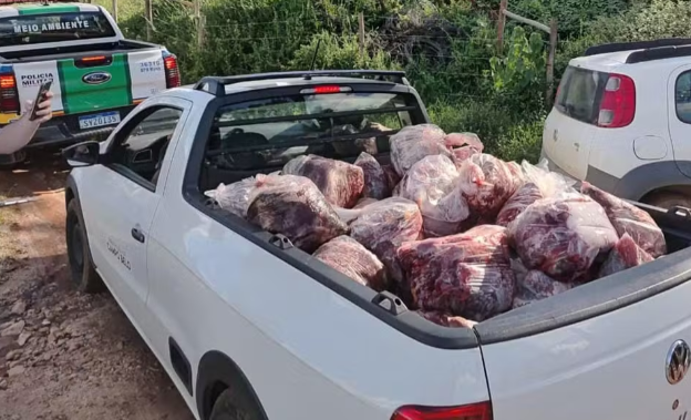Fiscalização apreende 800 kg de carne de cavalos em abate clandestino