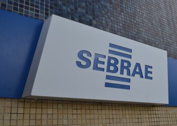 Plataforma Contrata Mais Brasil conecta microempreendedores ao setor público