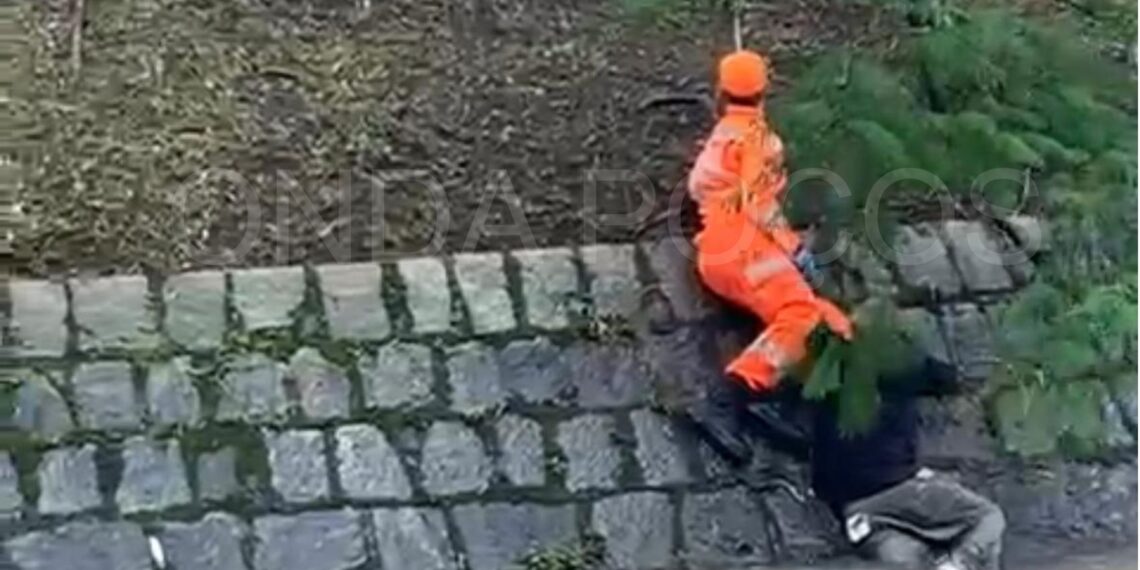 VÍDEO: embriagado, homem cai em ribeirão e quase é arrastado por correnteza