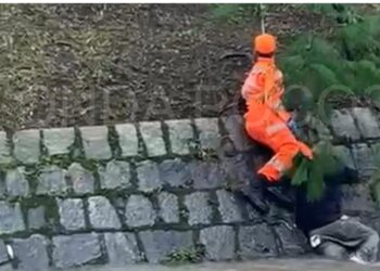 VÍDEO: embriagado, homem cai em ribeirão e quase é arrastado por correnteza