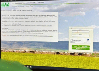Produtores rurais de Minas Gerais podem emitir documentos sanitários e acessar serviços sem sair de casa