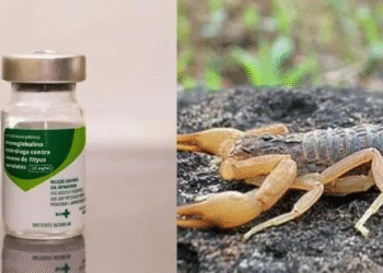 Soro antiescorpiônico já está disponível em Poços e região; confira as cidades