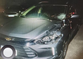 Jovem fica em estado grave após ser atropelado por dois carros em rodovia na região