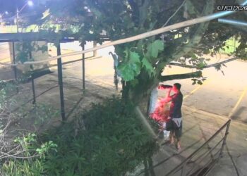 VÍDEO: Homem furta imagens de Nossa Senhora Aparecida de altar na zona sul Poços de Caldas