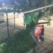 VÍDEO: Homem furta imagens de Nossa Senhora Aparecida de altar na zona sul Poços de Caldas
