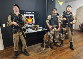 Operação com cães farejadores resulta em prisão e grande apreensão de drogas em Poços