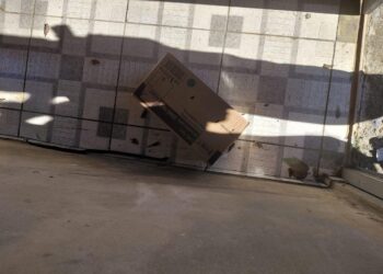 Cobra é encontrada em quintal de casa no Jardim São Paulo em Poços de Caldas