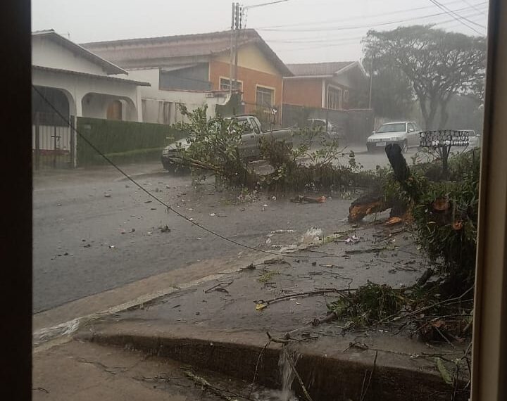VÍDEOS: chuva forte provoca alagamentos e queda de árvores em Poços de Caldas