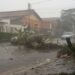 VÍDEOS: chuva forte provoca alagamentos e queda de árvores em Poços de Caldas