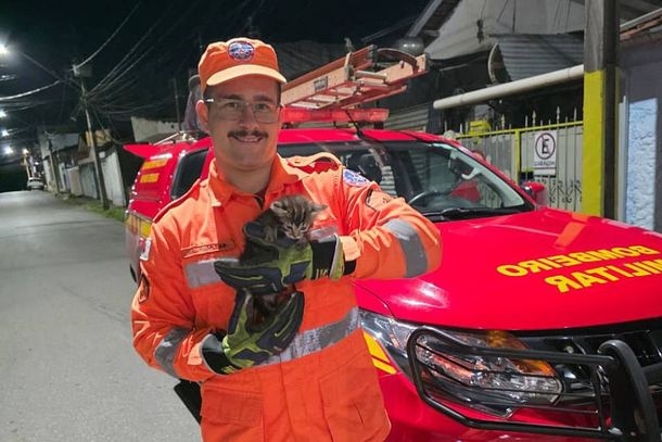 Bombeiros usam som de gata para salvar filhote preso em tubulação