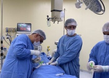 UFU faz primeiro transplante alogênico 