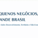 Livro gratuito do Sebrae reúne 26 ensaios de especialistas com estratégias para fortalecer os pequenos negócios