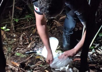 Droga enterrada na mata: jovem é preso por tráfico em Poços de Caldas