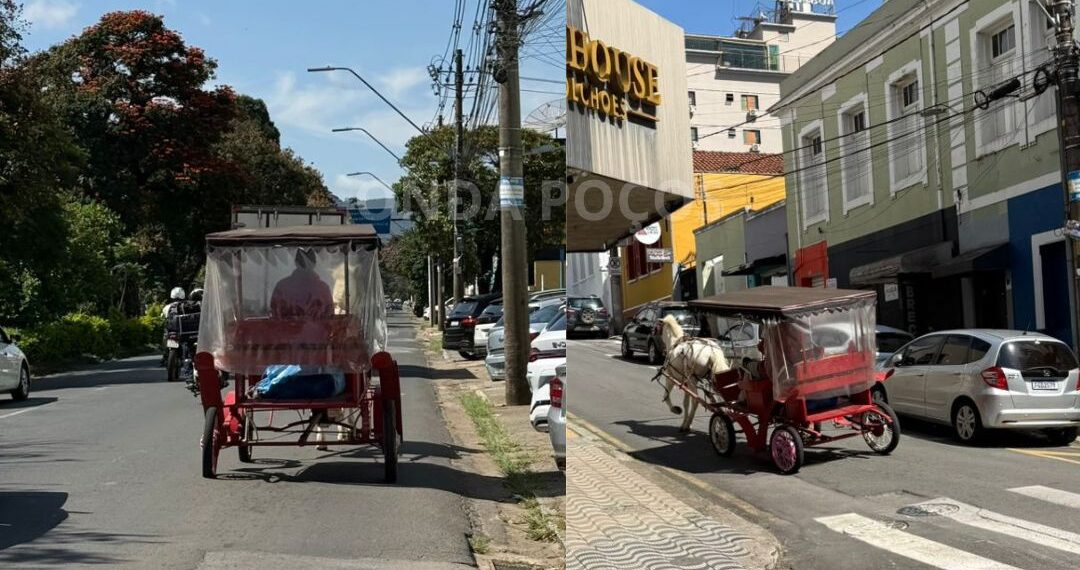 Charrete é flagrada em avenida onde circulação é proibida em Poços de Caldas