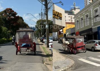 Charrete é flagrada em avenida onde circulação é proibida em Poços de Caldas