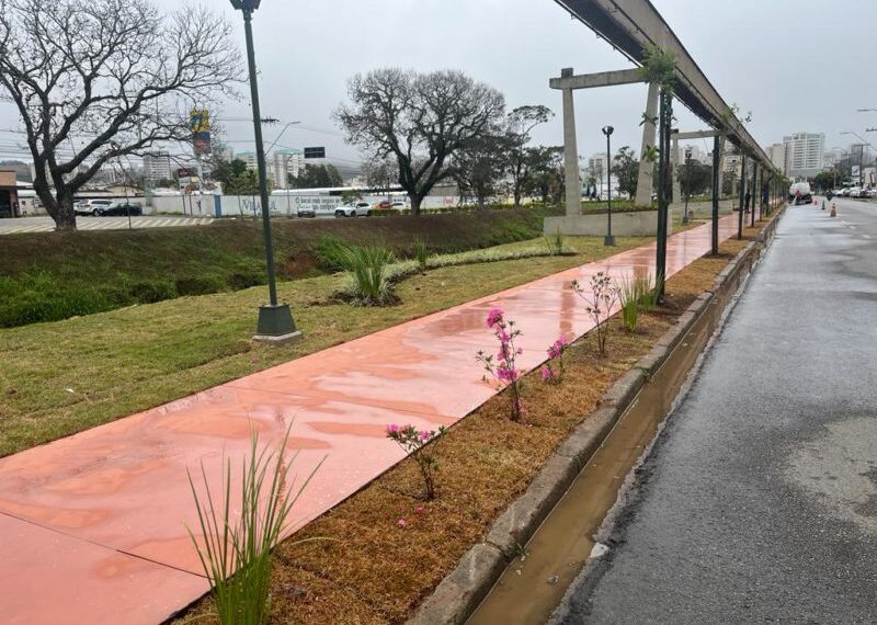 Avenida João Pinheiro recebe intervenções na tarde desta segunda-feira (27), veja como ficará o trânsito