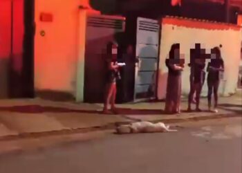 VÍDEO: Cachorro ataca idoso e é morto pelo próprio dono em cidade da região