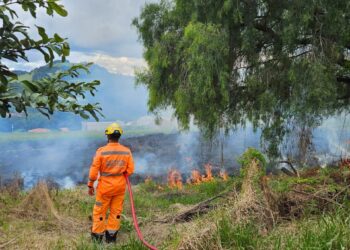 Incêndio em vegetação atinge 1.000 m² de área em Andradas