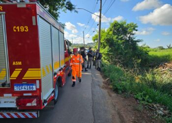 Corpo carbonizado é encontrado em cidade do Sul de Minas