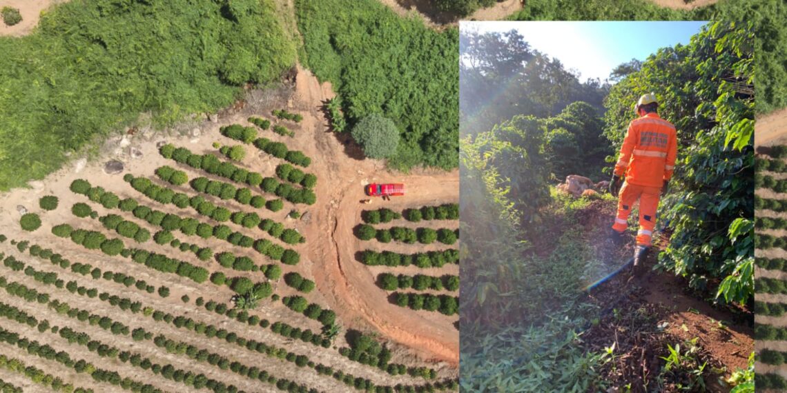 Bombeiros de Poços entram no terceiro dia de buscas por idosa desaparecida
