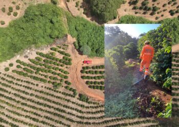 Bombeiros de Poços entram no terceiro dia de buscas por idosa desaparecida