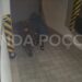 Vídeo mostra momento em que homem furta condomínio no centro de Poços de Caldas
