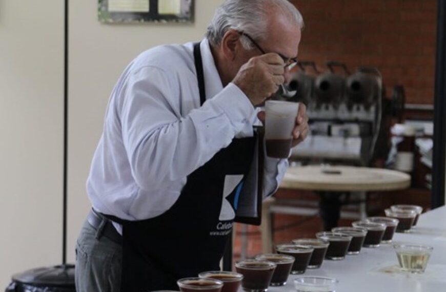 Novo protocolo transforma avaliação dos cafés especiais no Brasil