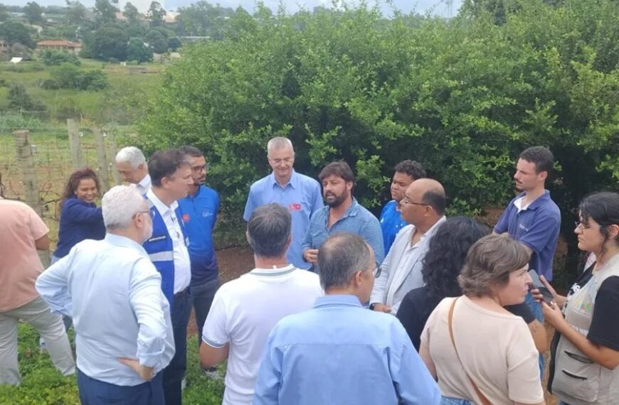 O potencial da vitivinicultura de inverno em MG 