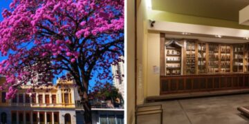 Feira da Estação realiza edição especial de Dia das Mães no SESI Museu de Artes e Ofícios 