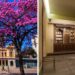 Feira da Estação realiza edição especial de Dia das Mães no SESI Museu de Artes e Ofícios 