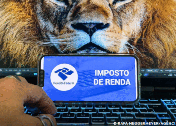 Receita abre consulta a lote da malha fina do Imposto de Renda