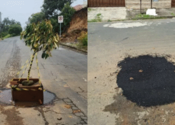 Dez dias após reportagem da Onda, buraco onde moradores ‘plantaram’ árvore na zona sul de Poços é tampado