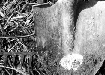 Governo Federal atualiza “lista suja” do trabalho escravo e inclui sítio de Campestre