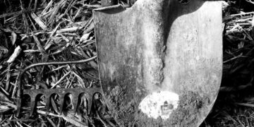 Governo Federal atualiza “lista suja” do trabalho escravo e inclui sítio de Campestre