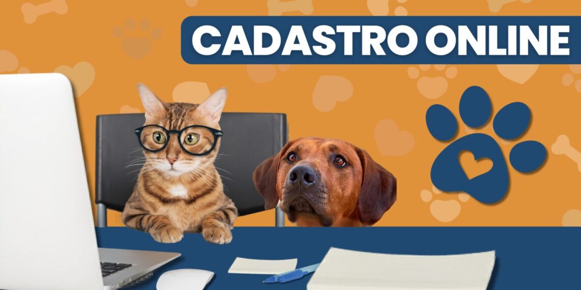 Sistema digital de castração animal amplia atendimentos em Poços de Caldas