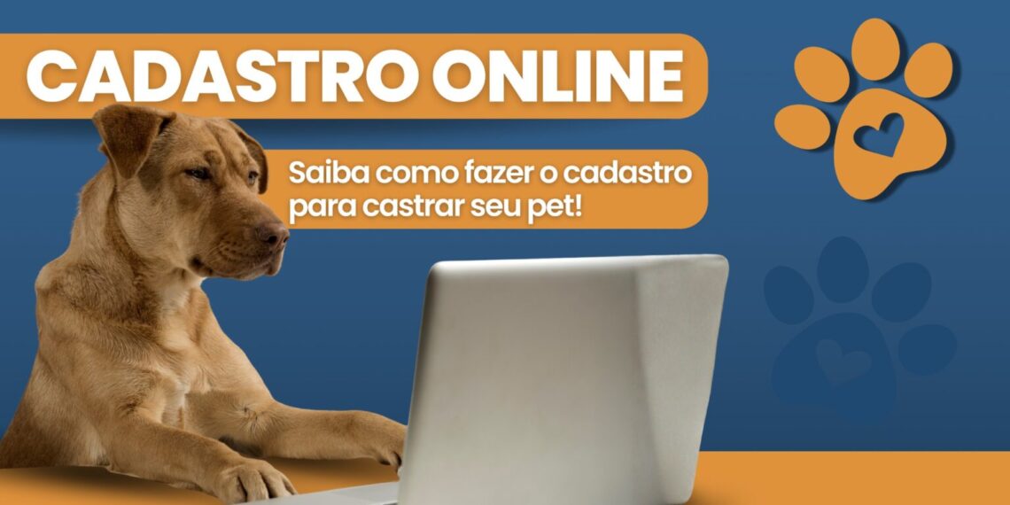 Poços de Caldas lança sistema online para castração de animais