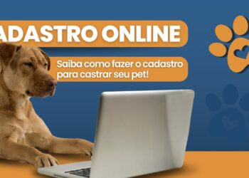 Poços de Caldas lança sistema online para castração de animais