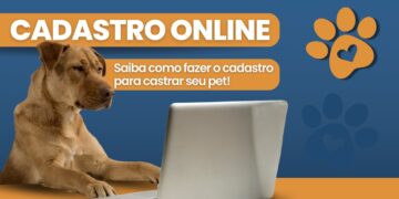 Poços de Caldas lança sistema online para castração de animais