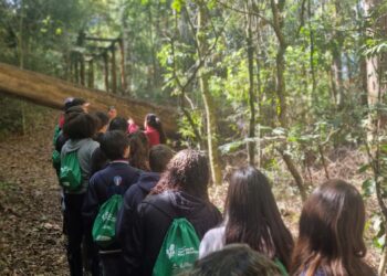 Parque Ambiental da Alcoa em Poços de Caldas celebra 33 anos como referência em conservação e educação socioambiental