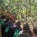 Parque Ambiental da Alcoa em Poços de Caldas celebra 33 anos como referência em conservação e educação socioambiental