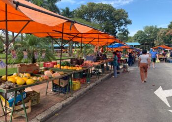 Aberto o cadastro de reserva para vagas nas feiras livres de Poços de Caldas