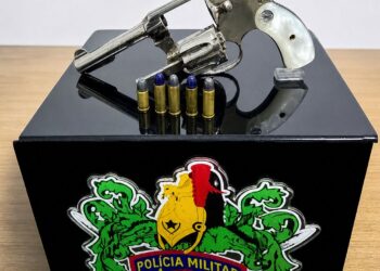 Polícia Militar apreende arma de fogo em ocorrência de violência doméstica