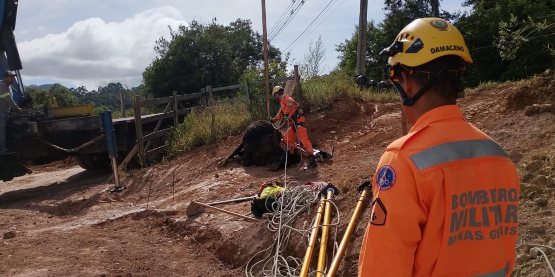 Bezerro é encontrado morto após cair em fundação tubular em Poços de Caldas