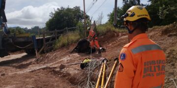 Bezerro é encontrado morto após cair em fundação tubular em Poços de Caldas