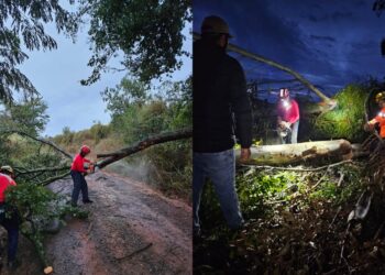 Temporal provoca queda de árvores e bloqueia estradas rurais