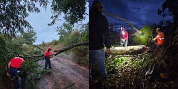 Temporal provoca queda de árvores e bloqueia estradas rurais