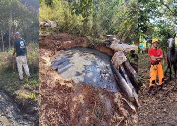 Bombeiros salvam cavalo que ficou preso dentro de fossa
