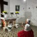 Dia de Santa Cruz abre programação cultural da Festa de São Benedito